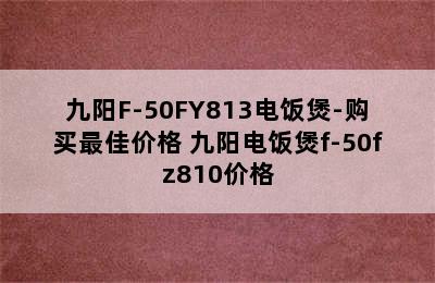 九阳F-50FY813电饭煲-购买最佳价格 九阳电饭煲f-50fz810价格